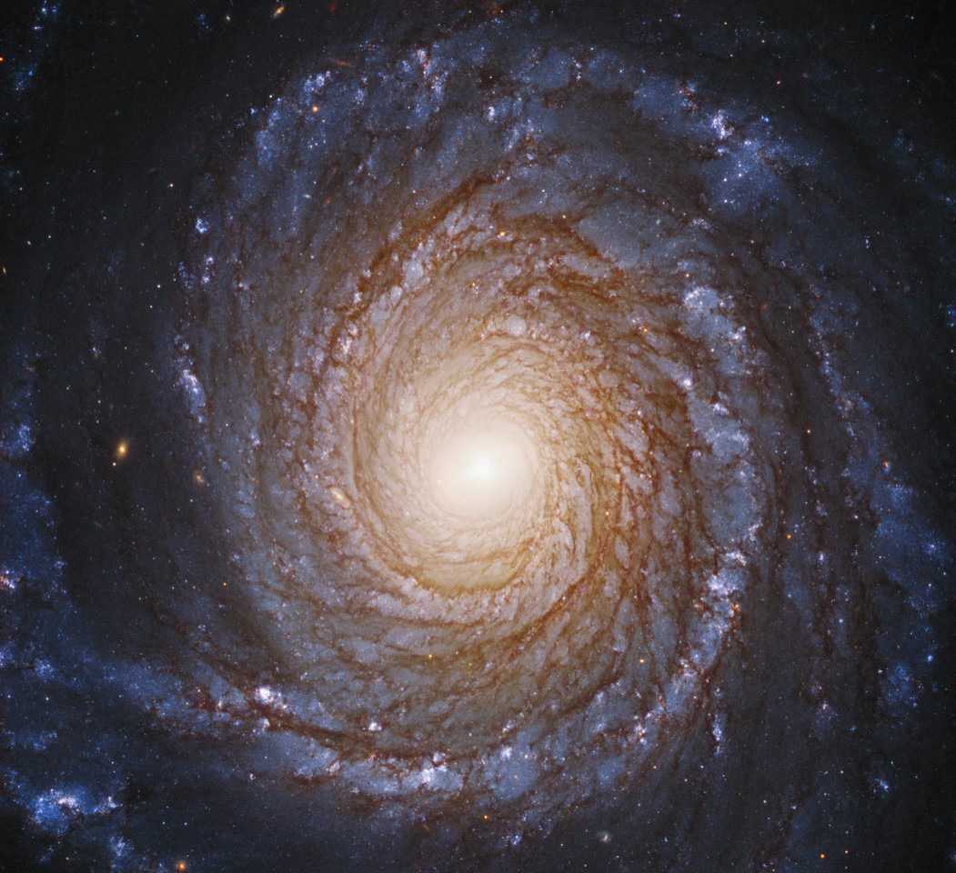 Führung am Teleskop: Ein Füllhorn an Planeten, Sternen und Galaxien